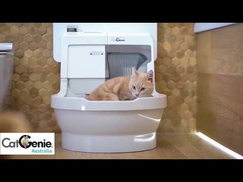 CatGenie Self-Washing Cat Litter Box