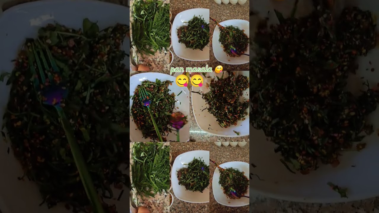 Classic Meetha Paan perfect meal Taste tradition, served fresh.