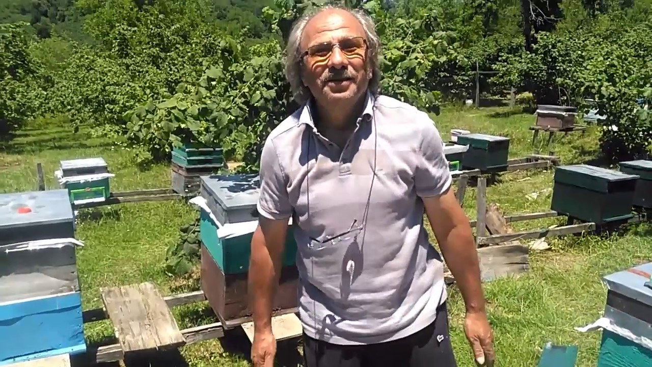 Dörtlü Destek Kovanından Arı Bölme - Nogay Arıcılık - 17.06.2017
