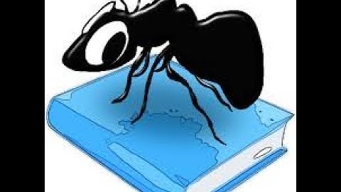 Corpus Linguistics-Preparing the data using AntConc software.