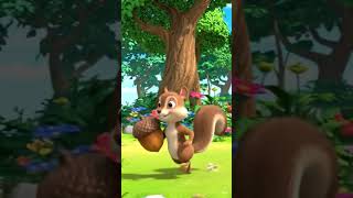 Backyard Squirrel Maze 2.0- The Walnut Heist #cartoon #goviral #goviral #humor #highlights #viral
