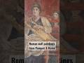 A peek at Roman wall paintings