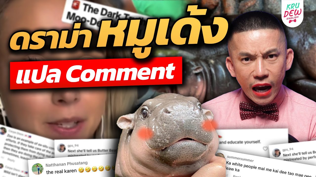 เรียนอังกฤษจากคลิปดราม่าหมูเด้ง น้องโดนทารุณ!? | KruDew หิวแสง