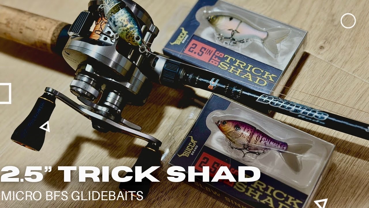 This new BFS glidebait catches BIG FISH!