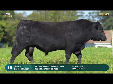 LOTE 010