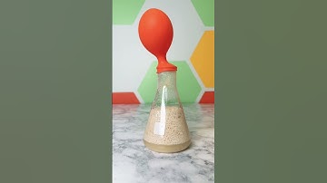 Fermentation Chemistry Science Experiment