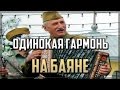 Одинокая гармонь на баяне