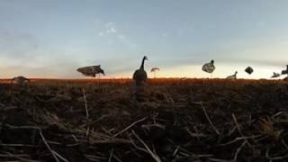 Michitoba Outfitting - World's First 360 Virtual Reality Waterfowl Hunt! screenshot 3