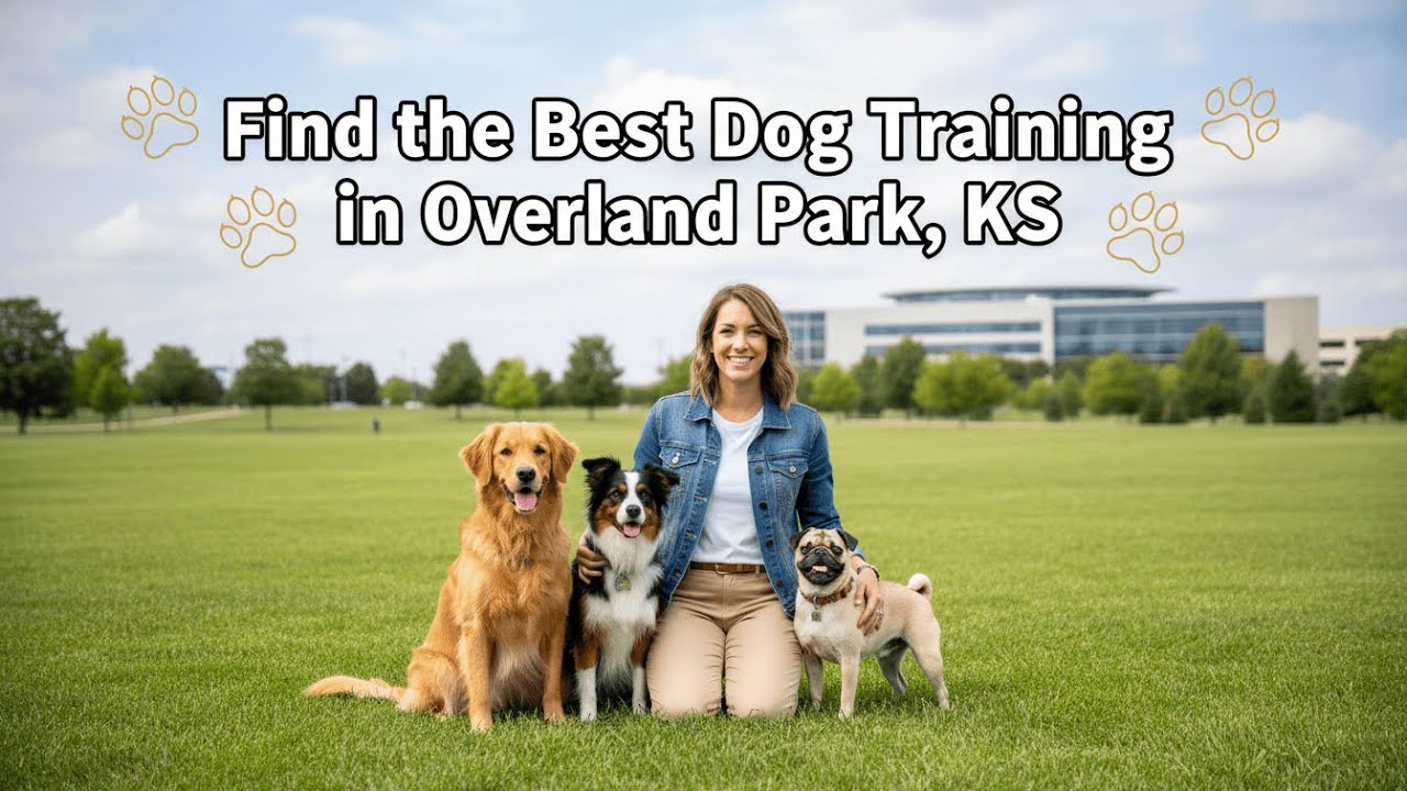 Find the Best Dog Training in Overland Park Kansas