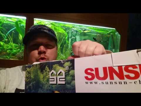 SunSun Aquarium Außenfilter mit UV Lampe Installation und Test deutsch