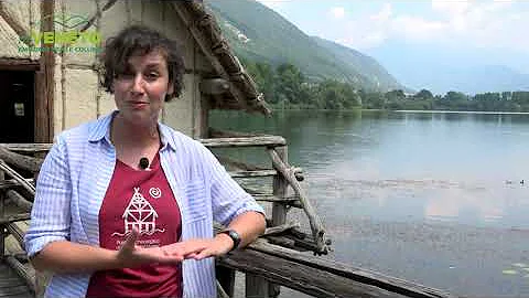 Cosa visitare zona Prosecco?