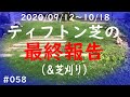 【芝生】ティフトン芝栽培㉖　2020年ティフトン芝最終報告　058