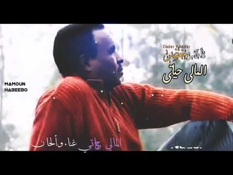 نادر خضر المالي حياتي