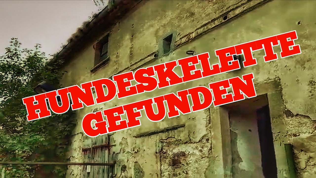 Lost Place ÜBERALL GERIPPE! DAS HORROR HAUS DES SCHWEINEMANNES Team Urbex Discovery