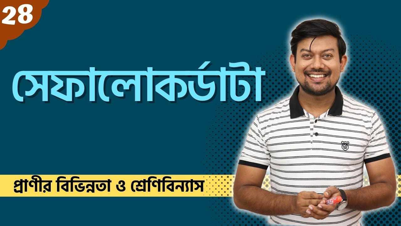 28. সেফালোকর্ডাটা। Cephalochordata। Notochord। Myotome। Amphioxus। Lanclet। Branchiostome