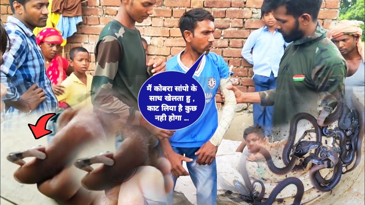 दारू के नसे में कोबरा को छेड़ना पड़ गया महंगा , शराबी को लगातार 2 बार काटा , हालत गंभीर #snake#cobra