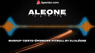 Mashup TIESTO OWNBOSS PITBULL By DJ ALEONE Resimi