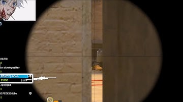 тимейт skywhywalker