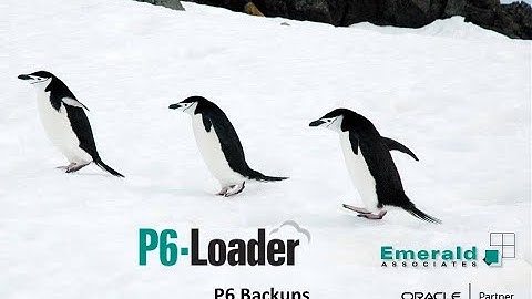 2025-10-23 - Primavera P6 Backups with the P6-Loader