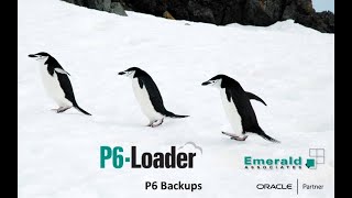 2025-10-23 - Primavera P6 Backups with the P6-Loader