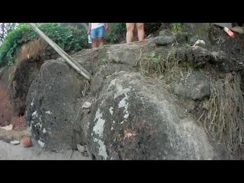 Видео: Рисотто гахайн мах, Болгарын чинжүүтэй