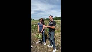 Paradigm™ pre-seed trial | Corteva Agriscience Canada