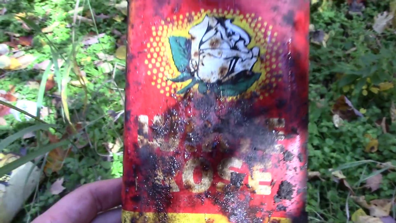 antique farmhouse Home site bottle/tin digging (100th video!)