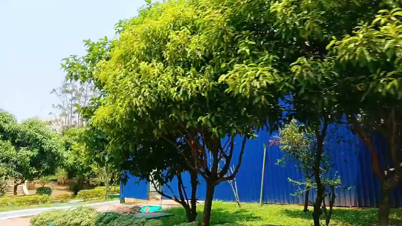 Patia,Bhubaneswar Infosys campus YouTube