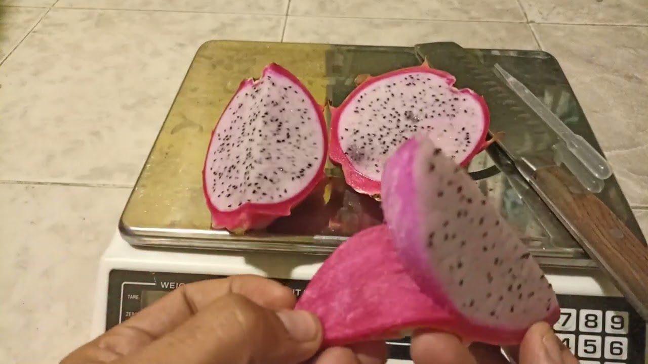 Pitahaya 