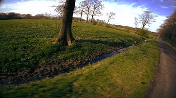 Uncut Tree Flow 🌳 FPV Freestyle