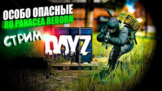 🔴🎥 DayZ | СТРИМ | ПВП | ОСОБО ОПАСНЫЕ | СЕРВЕР: RU Panacea Reborn DayZ #dayz #pvp #panacea