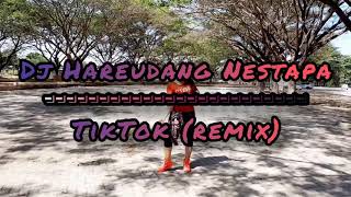 Dj Hareudang NESTAPA (TikTok-Remix) ||Senam Kreasi || Choreo Zin Yenny Jogja