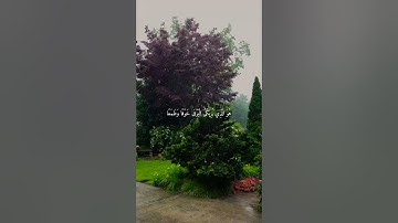 هُوَ الَّذِي يُرِيكُمُ الْبَرْقَ خَوْفًا وَطَمَعًا…|| سورة الرعد