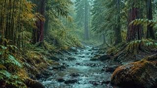 Gentle Rain on Tropical Forest Leaves | Relaxing ASMR Nature Sounds for Deep Sleep and Meditation