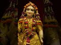 jai radha rani🙏 #radhakrishna #radheradhe