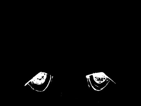 Seb Lowe - Rat Shit