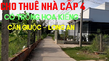(Ms 317❤Đã Cho Thuê) Cho Thuê Căn Nhà Cấp 4, Nhà Có Trồng Hoa Kiểng Cần Giuộc, Long An | Bđs Long An