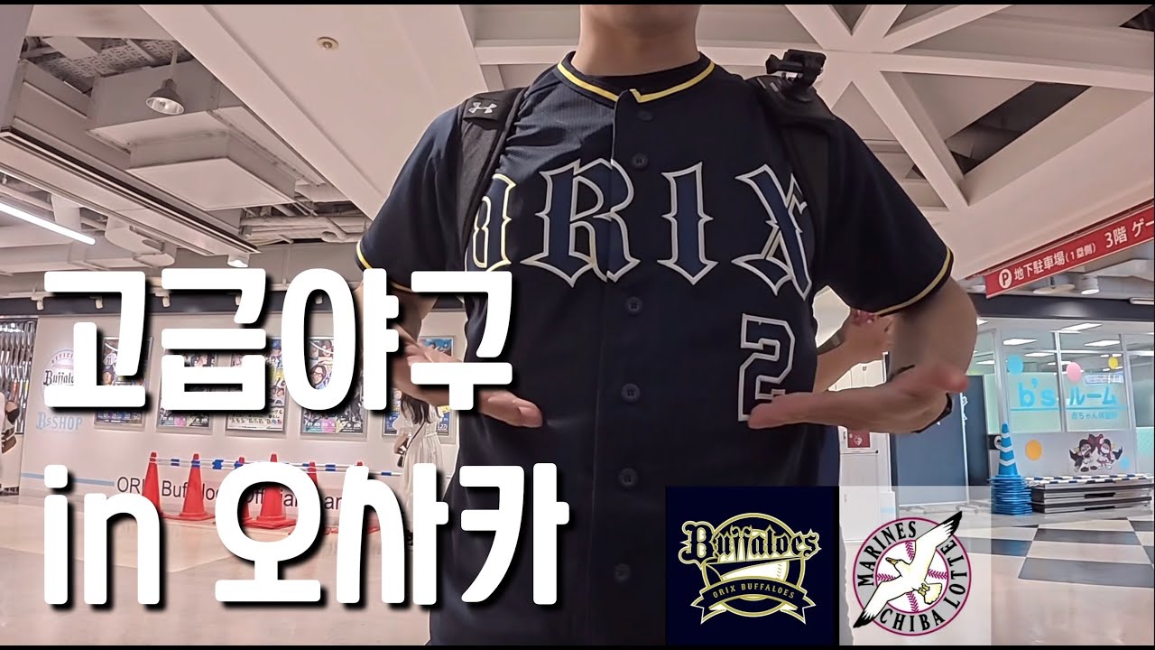일본 프로야구 직관 / 오사카 교세라돔 직관 후기 / 오릭스 버팔로스 vs 지바롯데