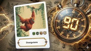 Everything about Orangutans in 90 seconds