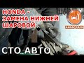 Honda - Меняем нижнюю шаровую