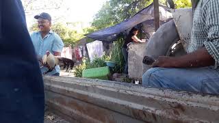 San jose del molino durango 3/2018 ana y ernesto monrreal