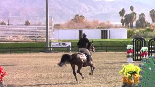 Mattias Ekeroth and DaCarlos 1.40  Jump Off - Thermal Week 1 2016
