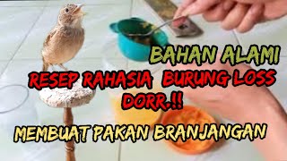 How to make a healthy and gacor branjangan feed mix