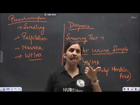 16   Endocrine System 16   Endocrine Pancreas    Recorded