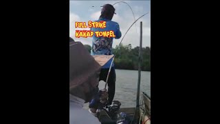 SENSASI Strike kakap TOMPEL, VIDEO SHORT MANCING MANIA TERBARU