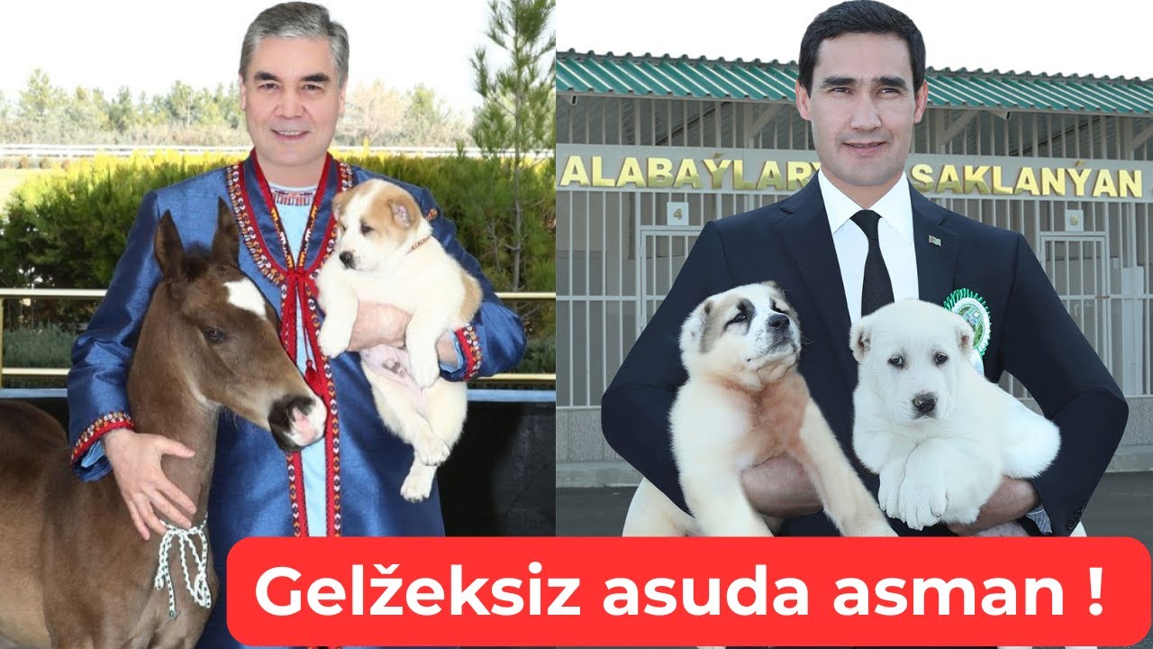 #497DWT #Gelžeksiz asuda asman! Мирное небо что нам дало!