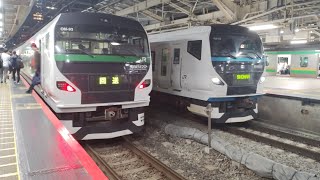 【E257系5000番代充当】　臨時特急踊り子60号東京行き　東京到着