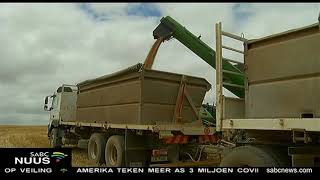 Koring-Boere Glimlag Weer