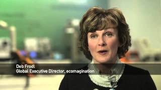 Zfep 2014 Large Corporations Category Finalists