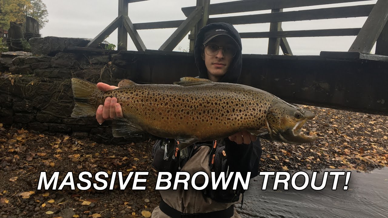 BROWN TROUT FISHING IN MUDDY CREEK WATER // Lake Ontario Tributaries